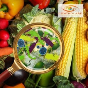 alimento_vencido_restaurante